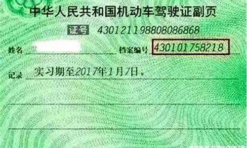 我的驾驶证查询_我的驾驶证查询12123电子驾驶证